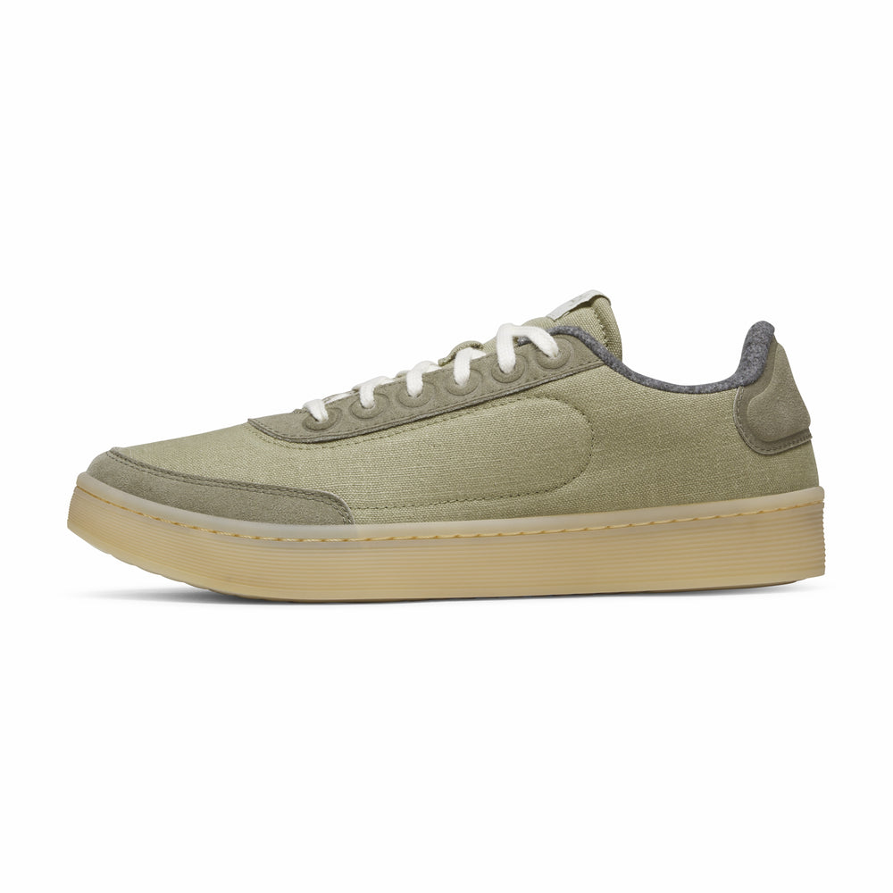 Varsity Cruiser - Discount Offer