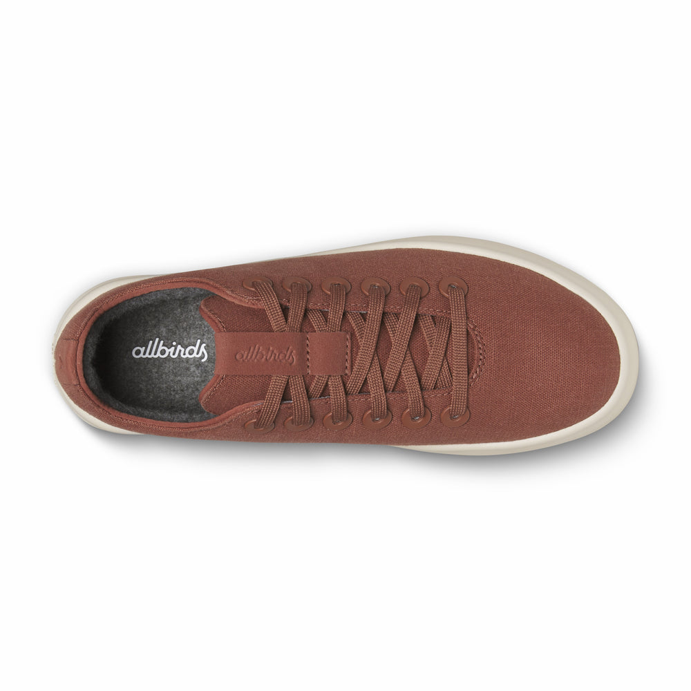 Canvas Cruiser - Promo Price