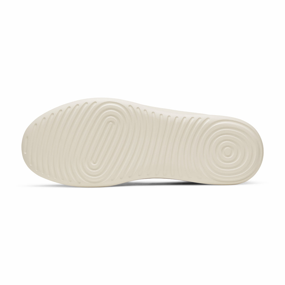 Canvas Cruiser - Promo Price