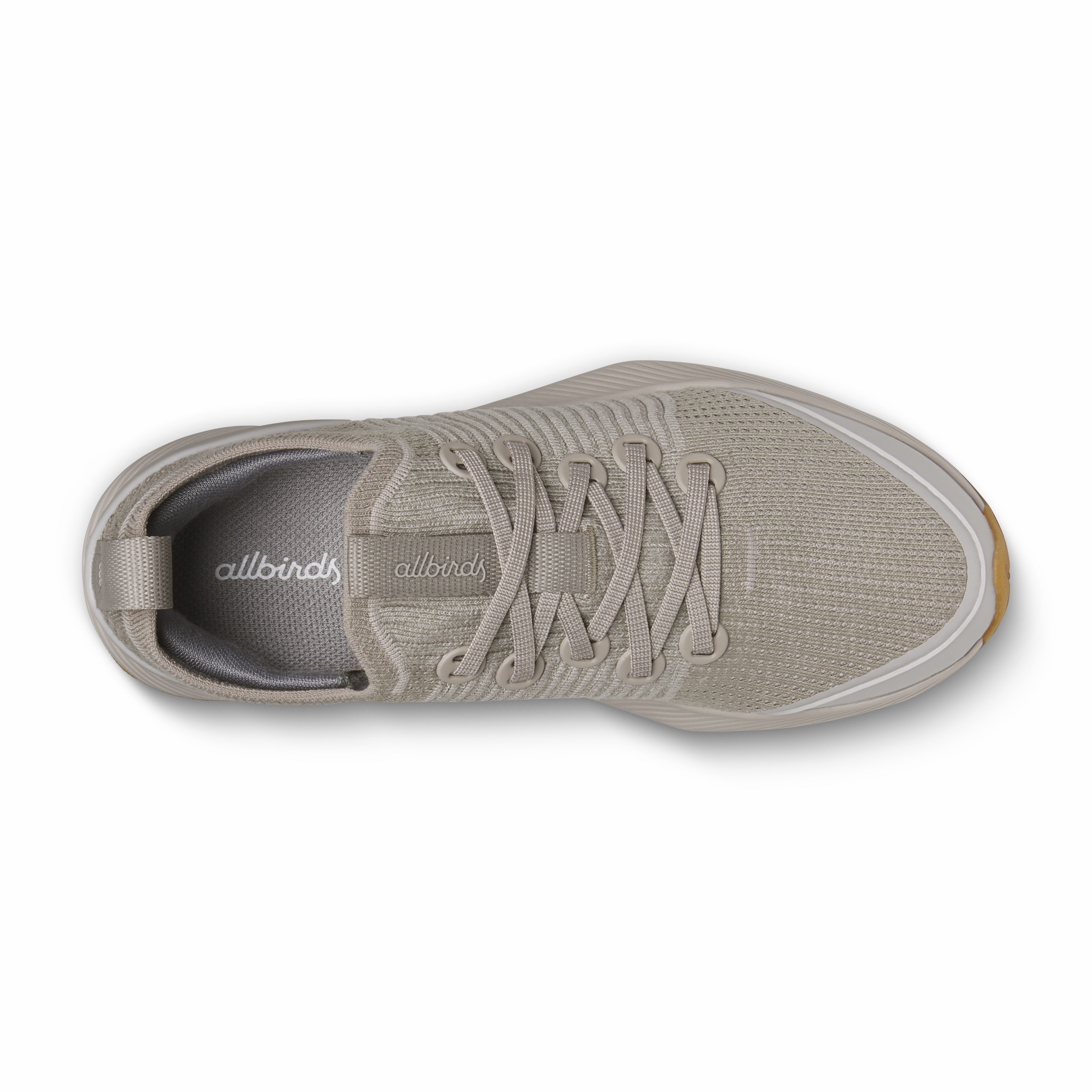 Tree Glider - Promo Price