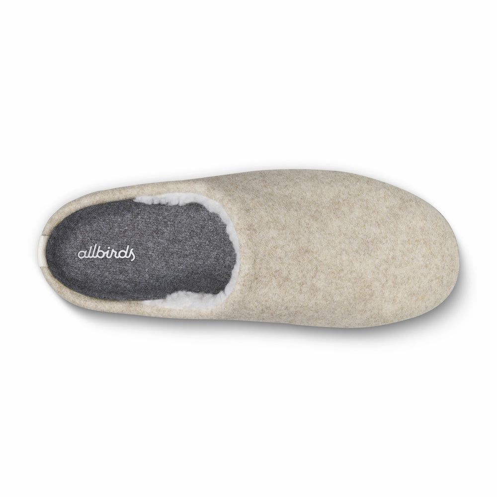 Allbirds Slipper - Discount Offer