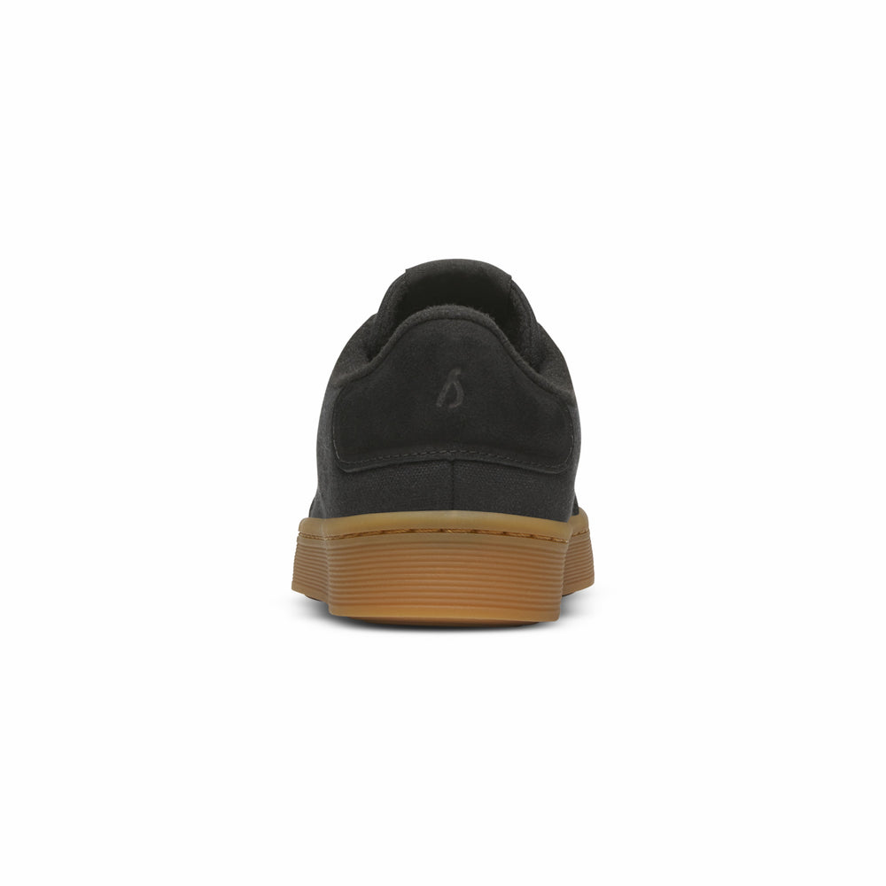 Varsity Cruiser - Promo Price